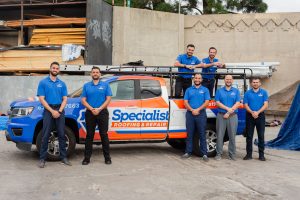 Specialist Roofing and Repair