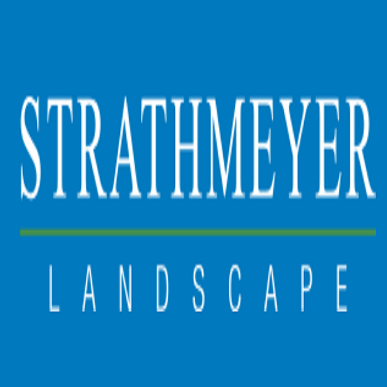 Strathmeyer Landscape